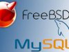 Freebsd 13 mysql 5.6 kurulumu