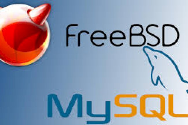 Freebsd 13 mysql 5.6 kurulumu