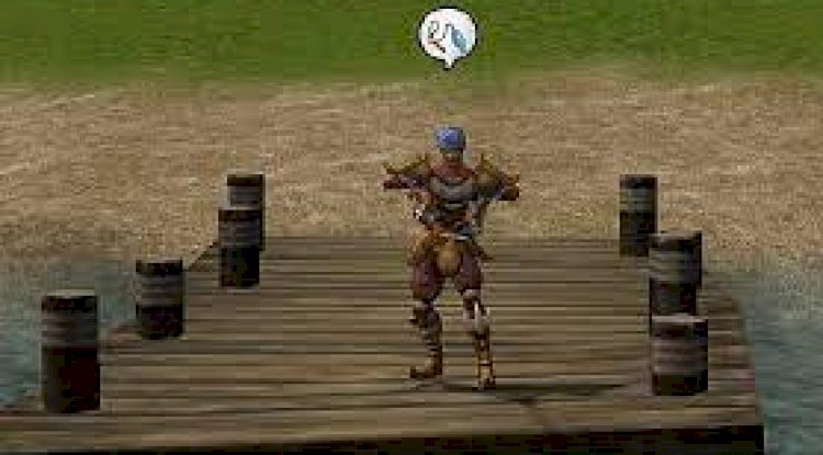 Metin2 balık botu