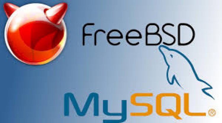 Freebsd 13 mysql 5.6 kurulumu